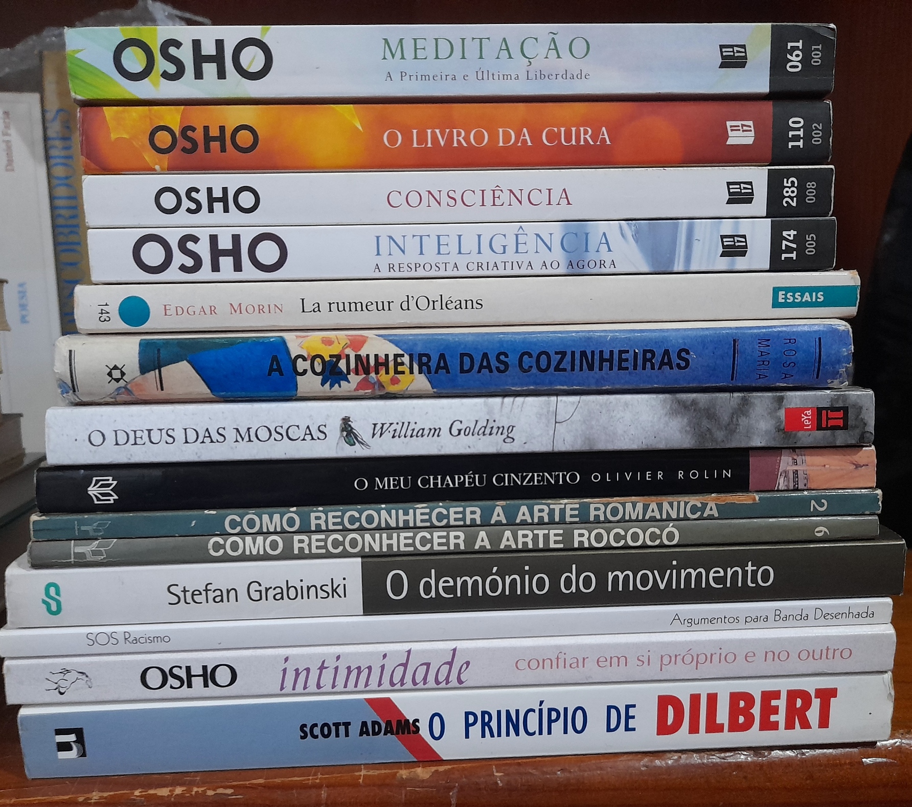 Lote de Livros