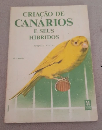 Criação de canários e seus híbridos 