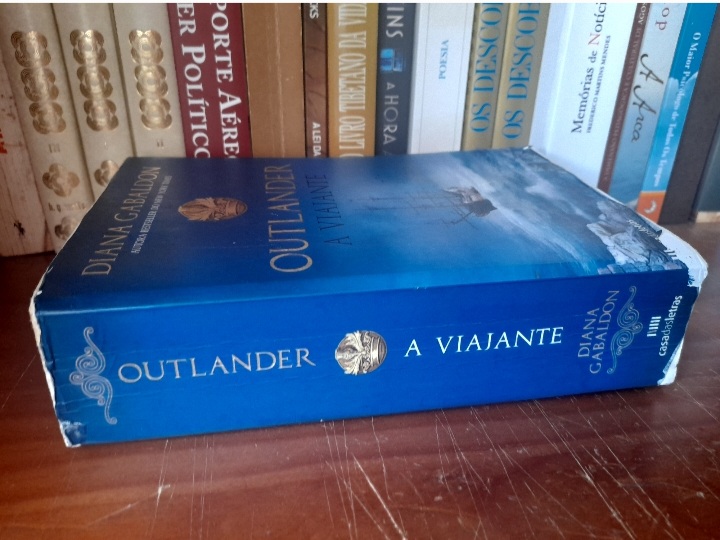 A Viajante - imagem 2