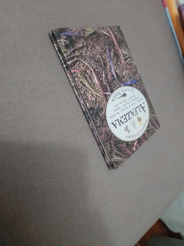 Vista 4
