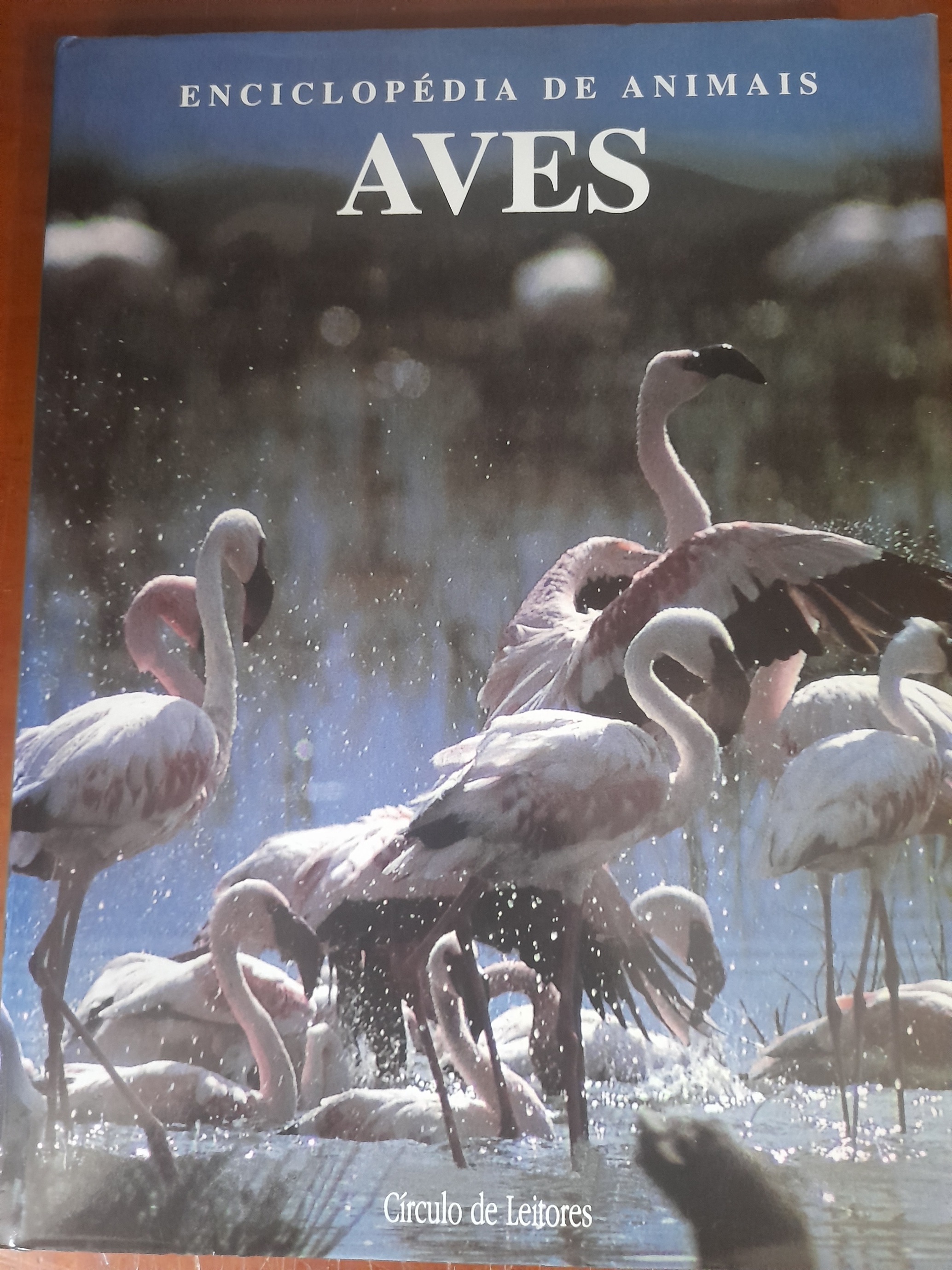 Aves: Enciclopédia de Animais