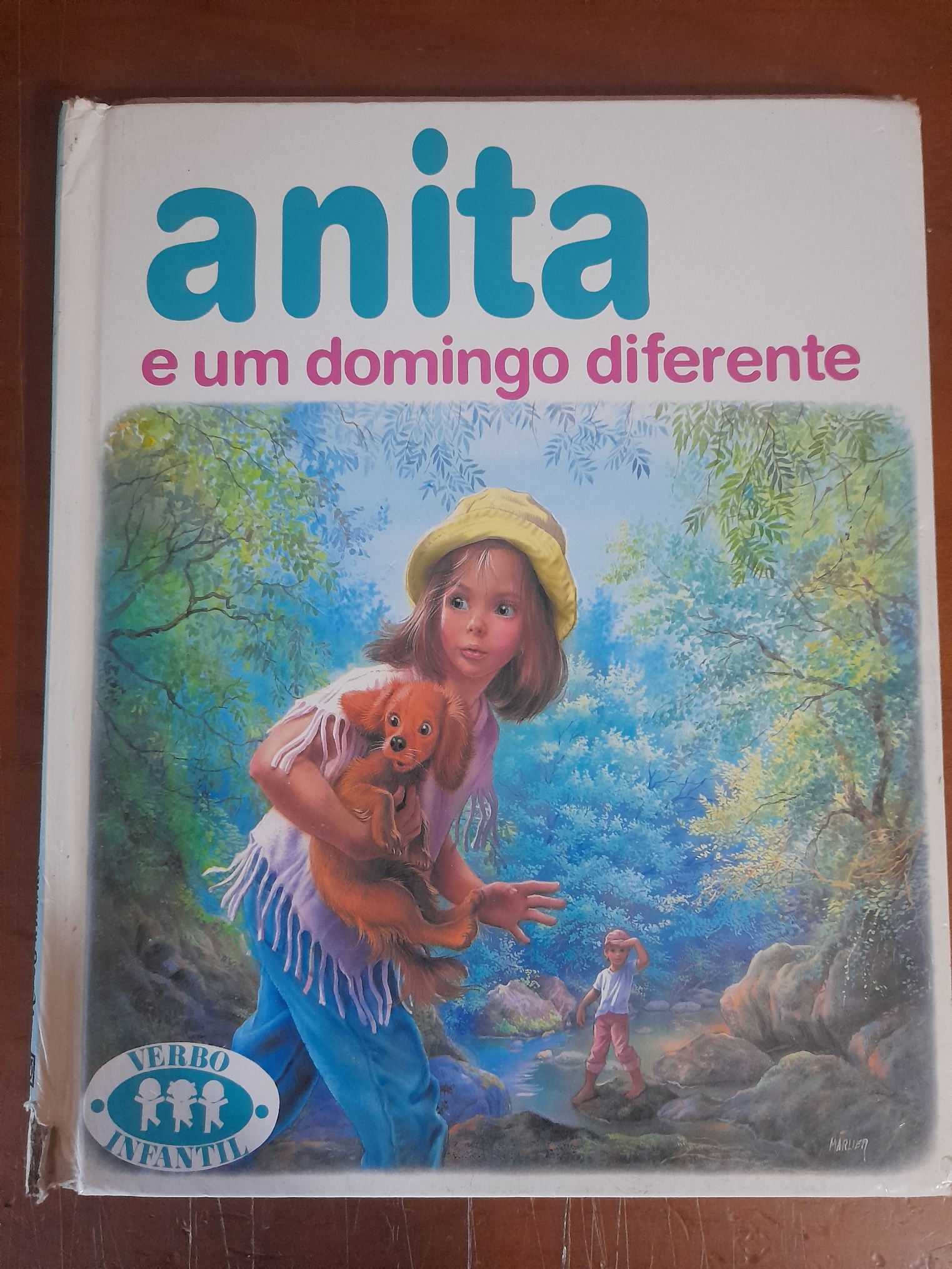 Anita e um Domingo Diferente