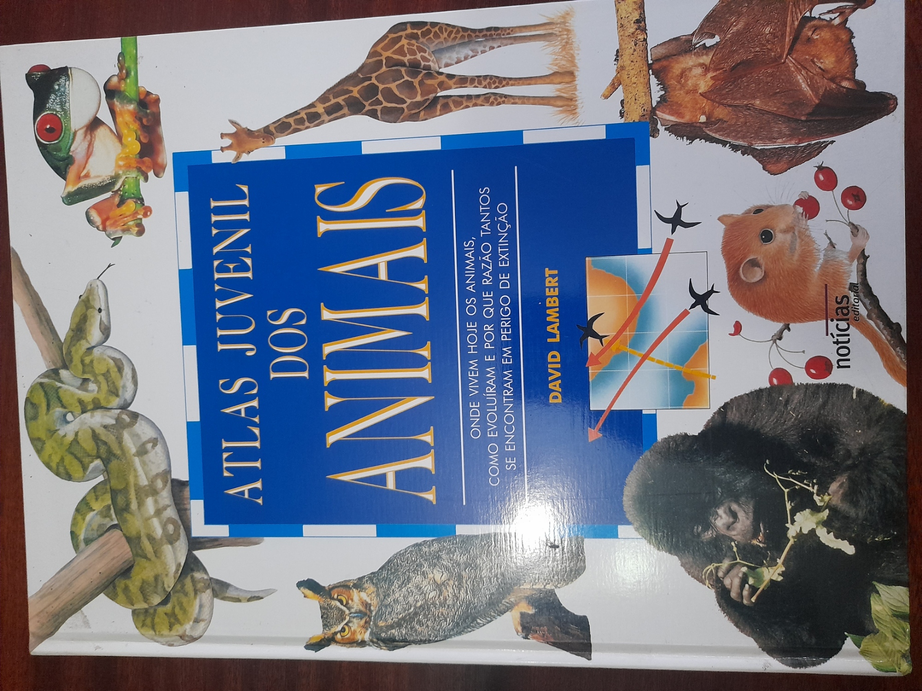 Atlas Juvenil dos Animais 