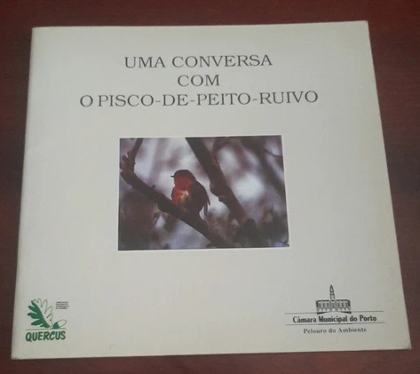 Uma Conversa Com O Pisco-de-peito-Ruivo