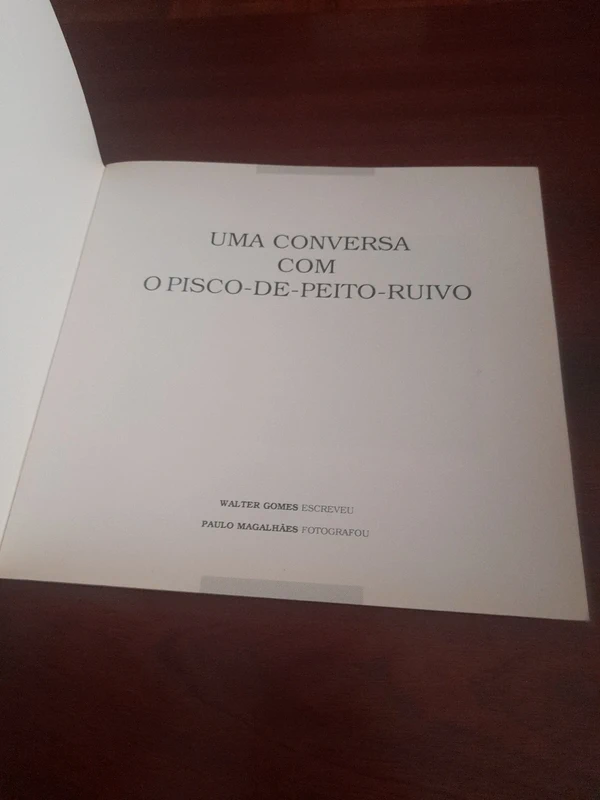 Vista 3