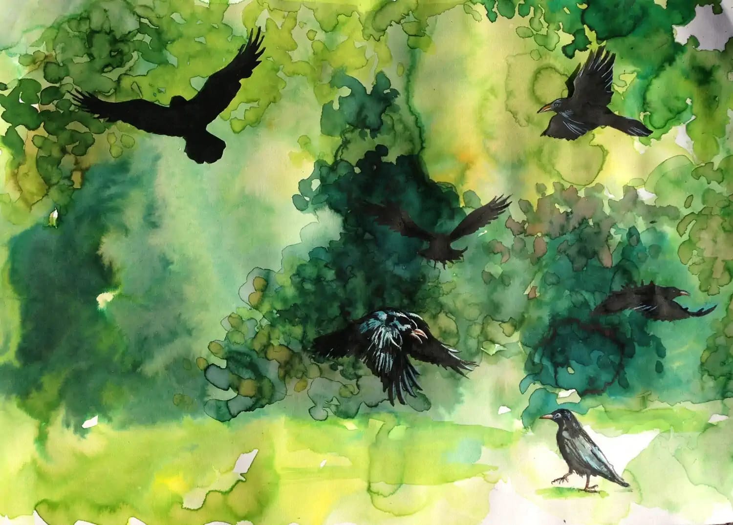 Crows In The Landscape