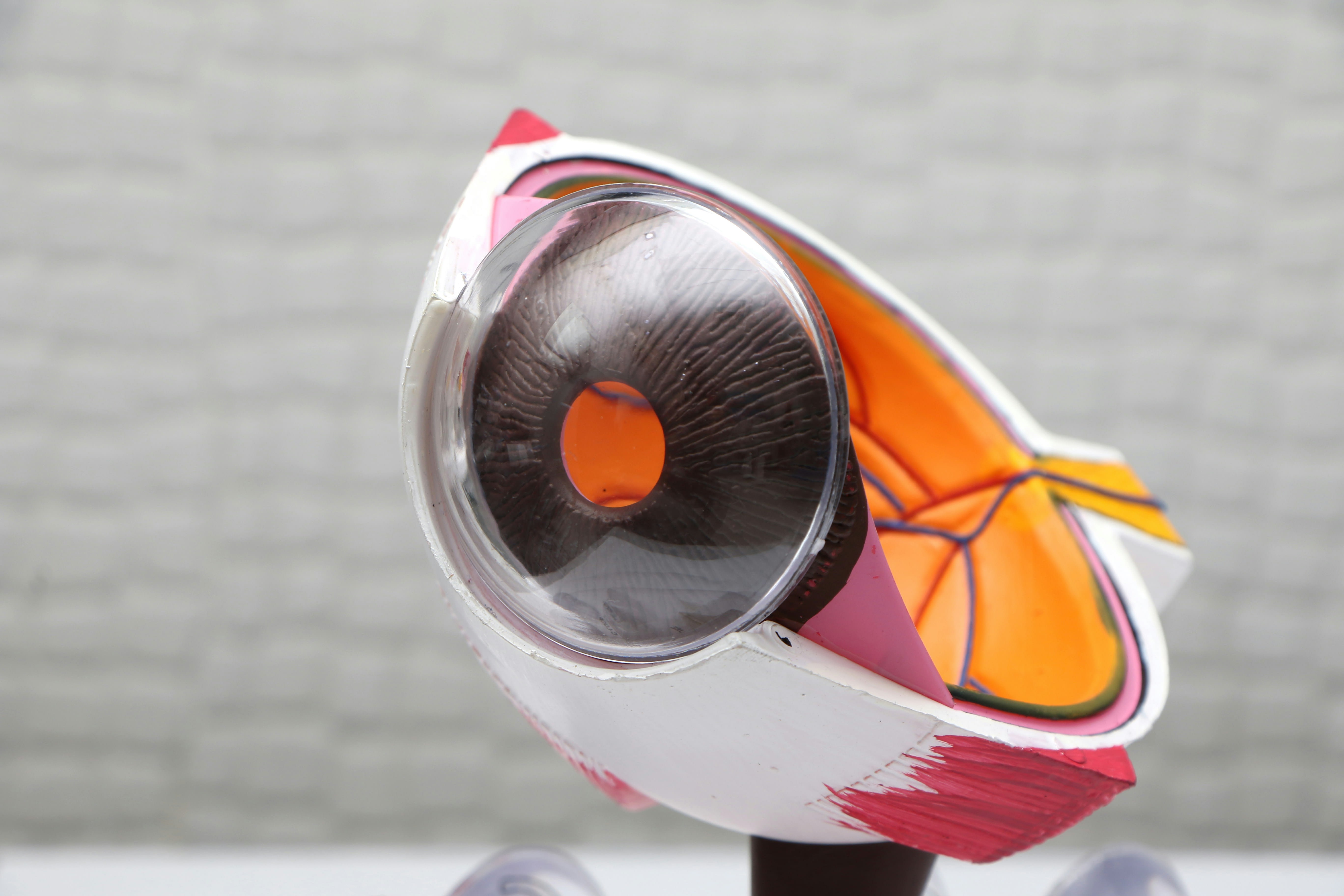 Customised Installation