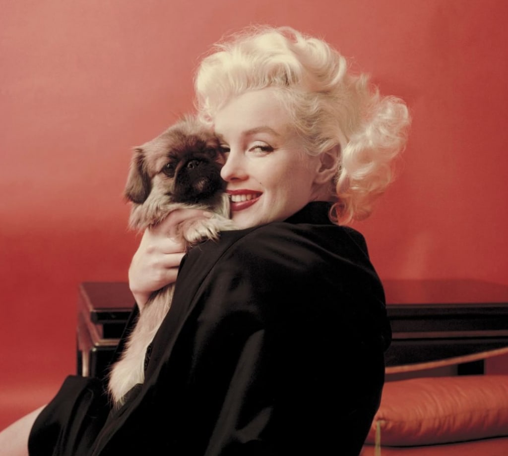 Marilyn Monroe e1563308818868