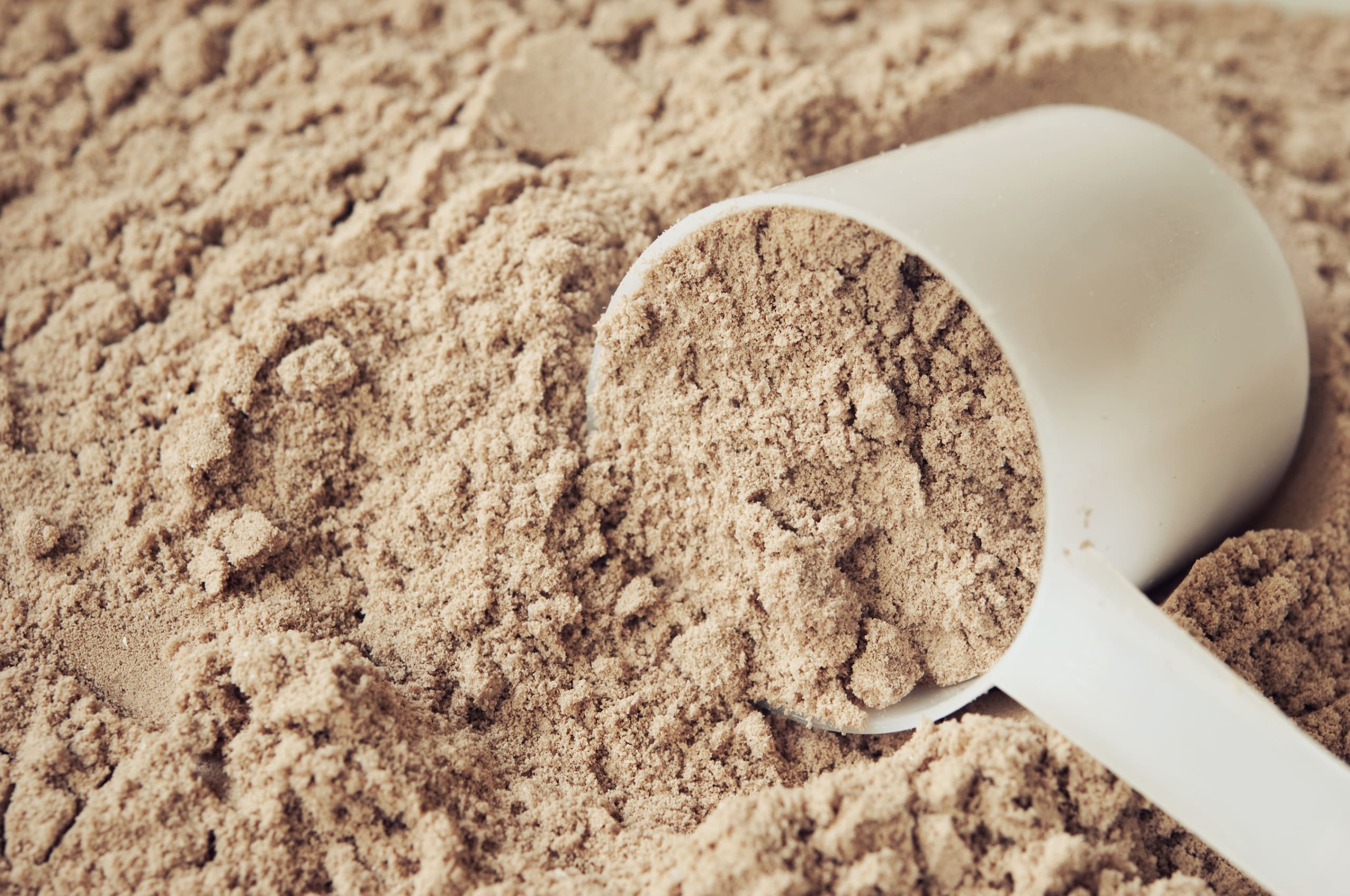 Chocolate Protein Powder