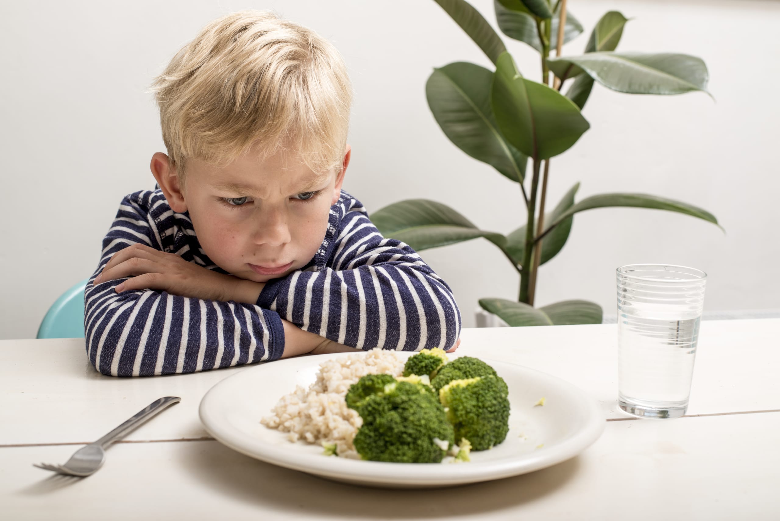 Spoiled kid does not want to eat his diner with vegetables