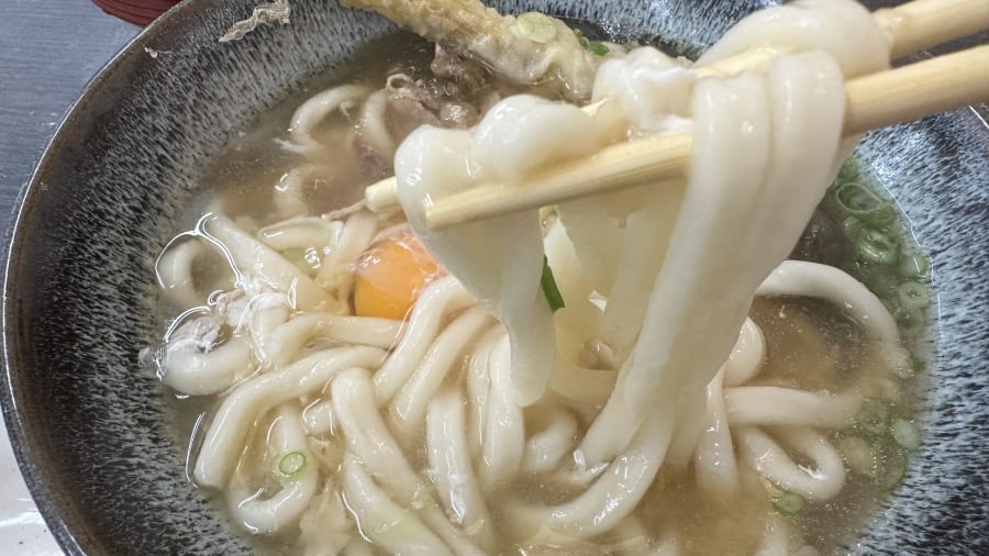 Udon noodles in a hot pot