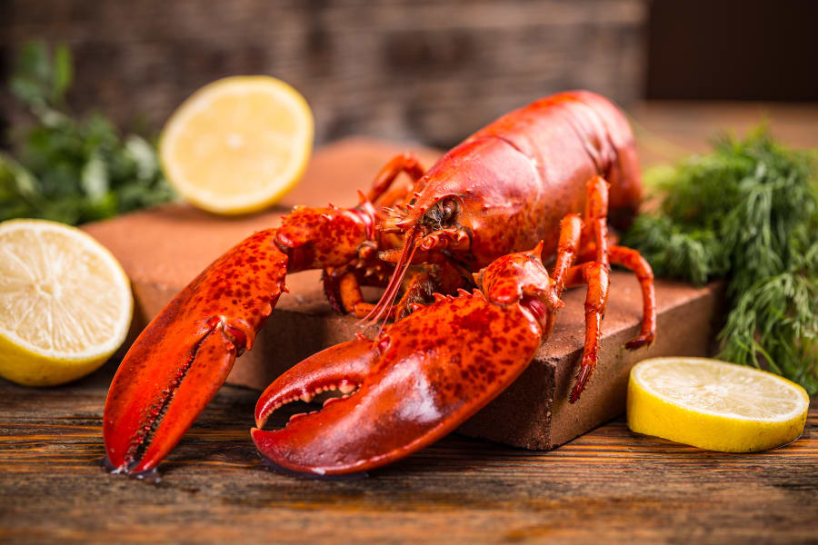 cooked lobster