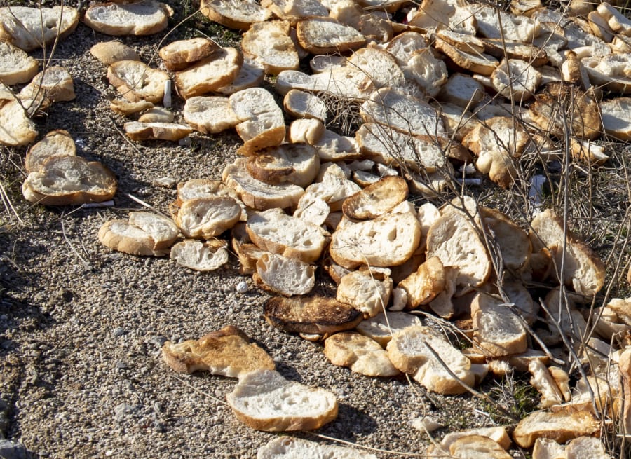 trashed slices of bread. wasted..
