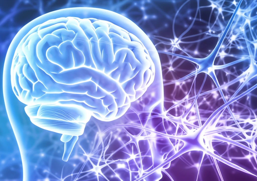 Glowing neural networks representing transcranial magnetic stimulation effects on brain connectivity