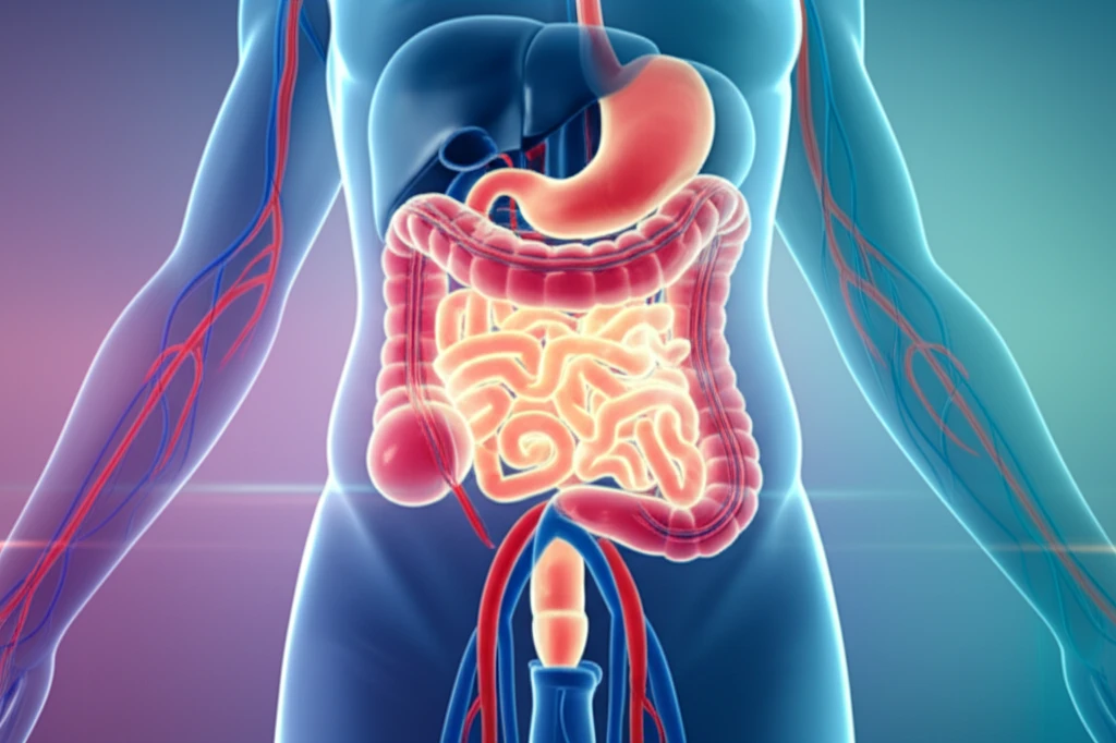 Illustration of a healthy digestive system