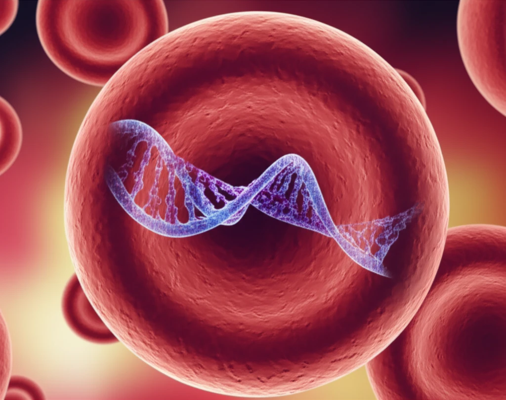 Glowing RNA strands within red blood cell.