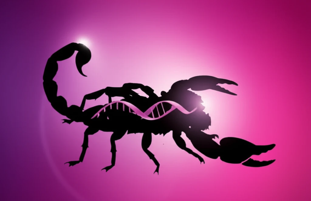 Scorpion venom targeting breast cancer cells