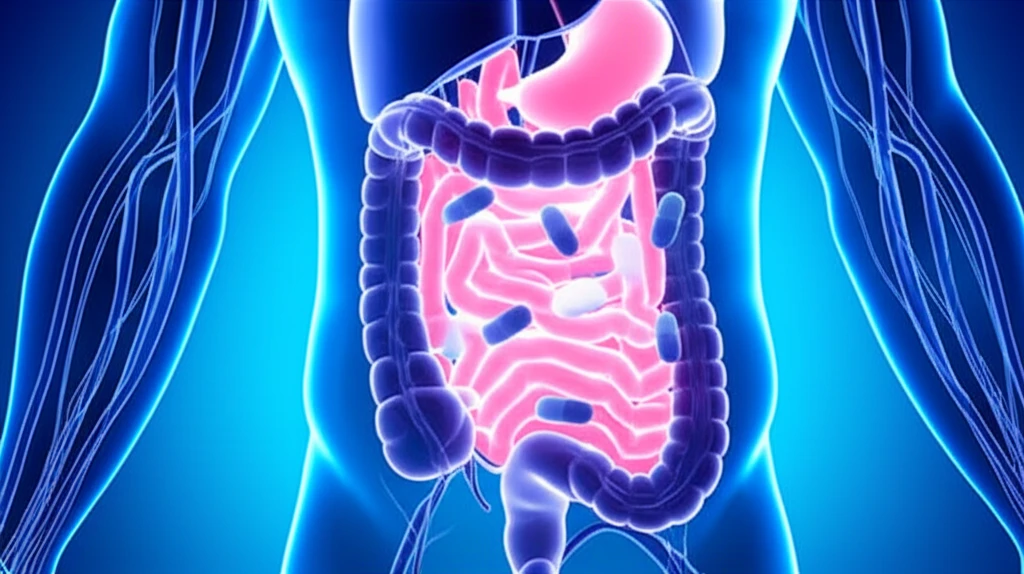 Medications affecting Vitamin B-12 absorption.