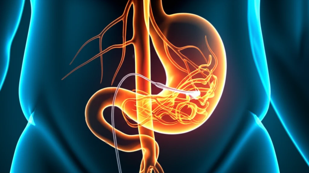 Illustration of nerve network in abdomen, representing EUS-CGN therapy.