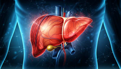 Illustration of a healthy liver regulating insulin sensitivity through carbohydrate metabolism.