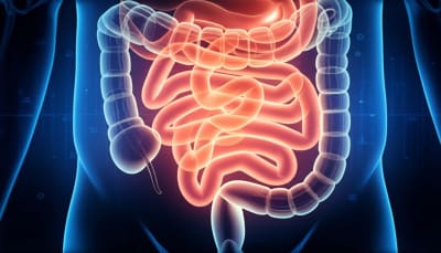 Surreal illustration of a twisted intestinal pathway inside a glowing, ethereal abdomen.