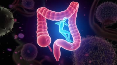 Surreal illustration of a healthy colon protected by Fas Ligand against oxidative stress.