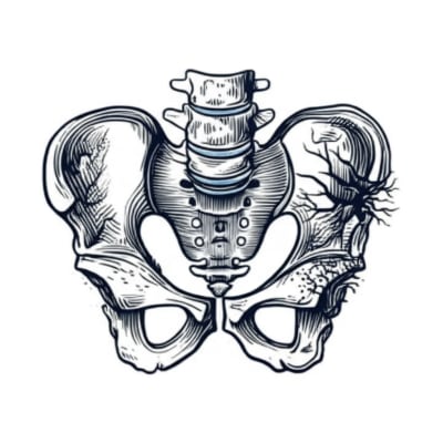 Illustration symbolizing the connection between hip health and overall well-being, particularly emphasizing the diagnostic challenges of hip pain.