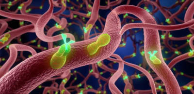 Microscopic view of gastric cancer cells with HER2 receptors.