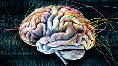 Brain mapping with neural networks and language symbols.