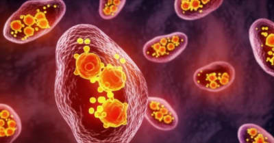 Arsenic Disulfide Attacking Breast Cancer Cells