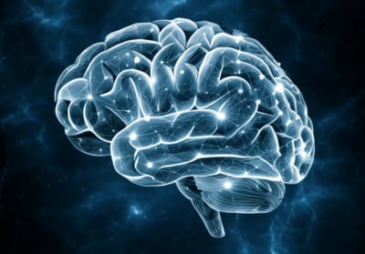 A digital illustration of a connected brain, highlighting pathways, for Alzheimer's research.
