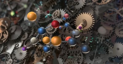 Endocrine system disruption