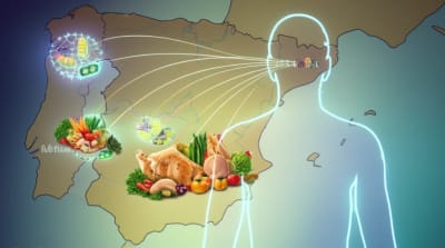 Illustration of antibiotic resistance spreading in Spain