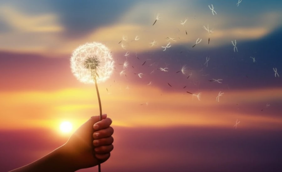 Symbolic image of a child with a dandelion representing hope in near-haploid ALL treatment.
