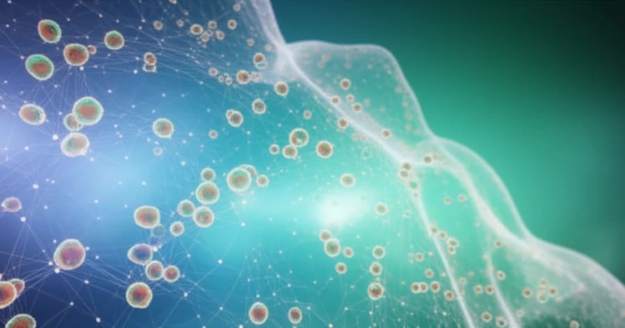 Soft polymer network supporting tissue regeneration.