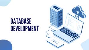 Database Developer