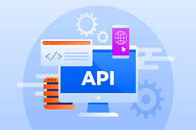API Developer