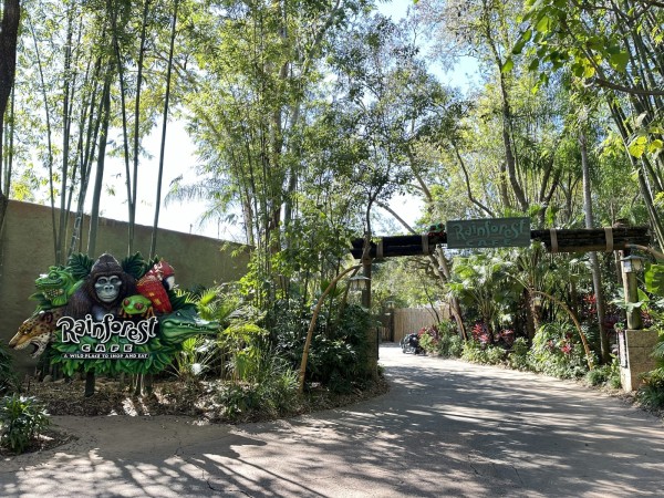 Rainforest Cafe® Image