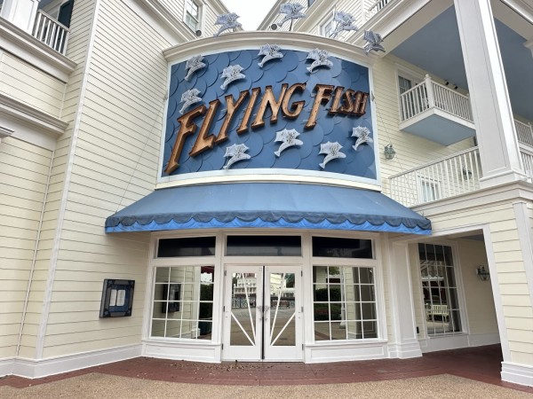 Flying Fish Image