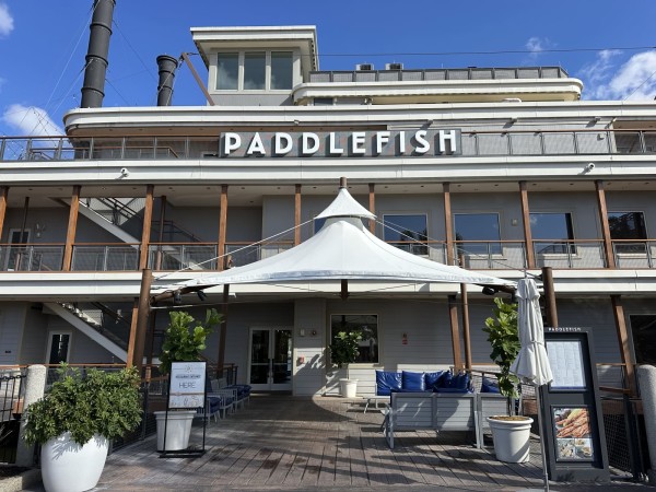 Paddlefish Image