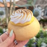Lemon Bolle Image
