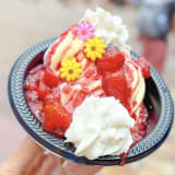Rapunzel Sundae Image