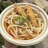 Shrimp Tempura Udon Image