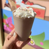 Chocolate-Peppermint Shake Image