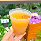 Spiced Apple Slushy Image