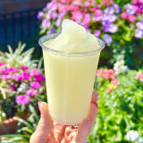 Frozen Italian Margarita Image