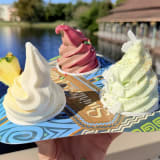Seasonal DOLE Whip Sampler Image