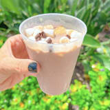 Frozen S’mores Image