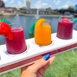 Wine Slushy Flight Image
