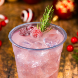 Cranberry Cider Punch Image